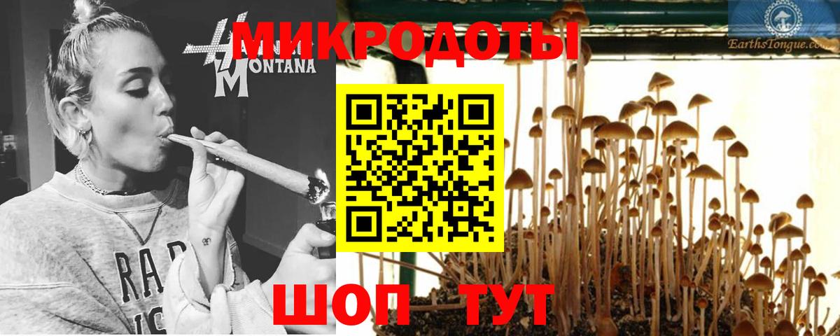 Галлюциногенные грибы GOLDEN TEACHER Славянск-на-Кубани
